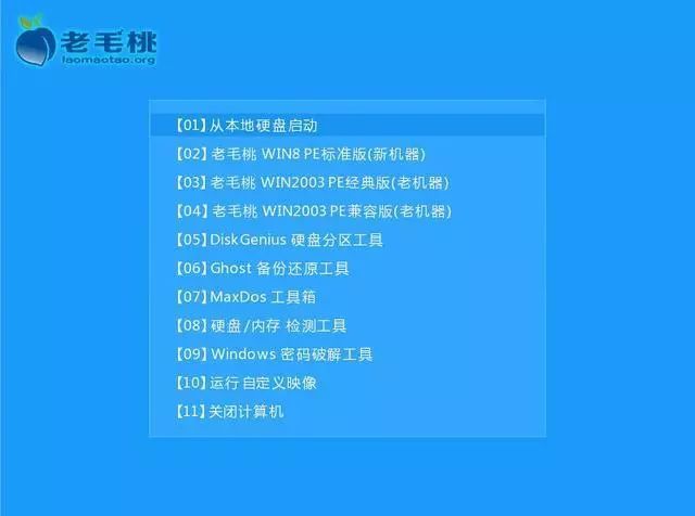 图片[8]-Windows系统安装详细教程-泛分享科技